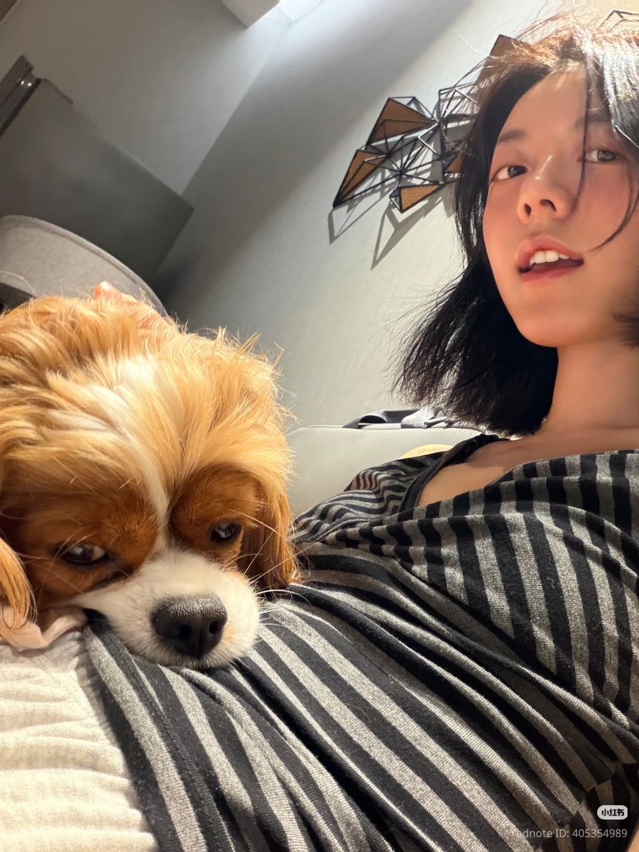 ♡🍒berry｡♡🍂 tweet media