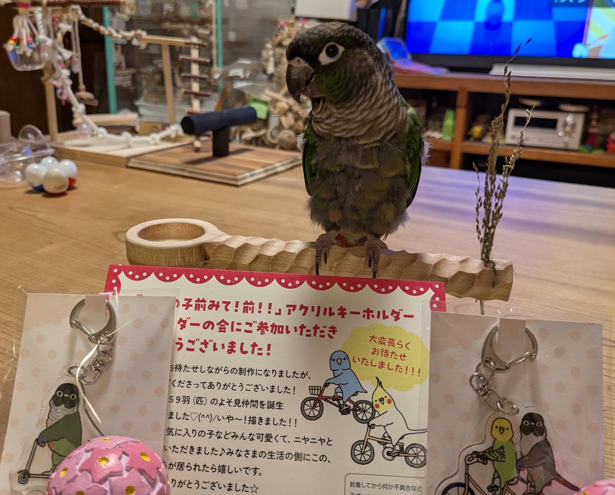 ぴーちゃん tweet media