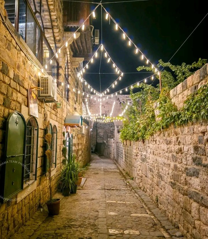 diana ' 🔥 tweet media