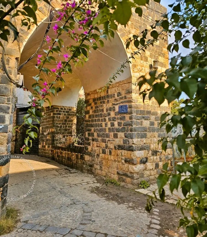 diana ' 🔥 tweet media