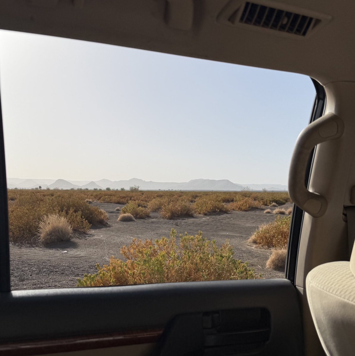 اعجيان tweet media