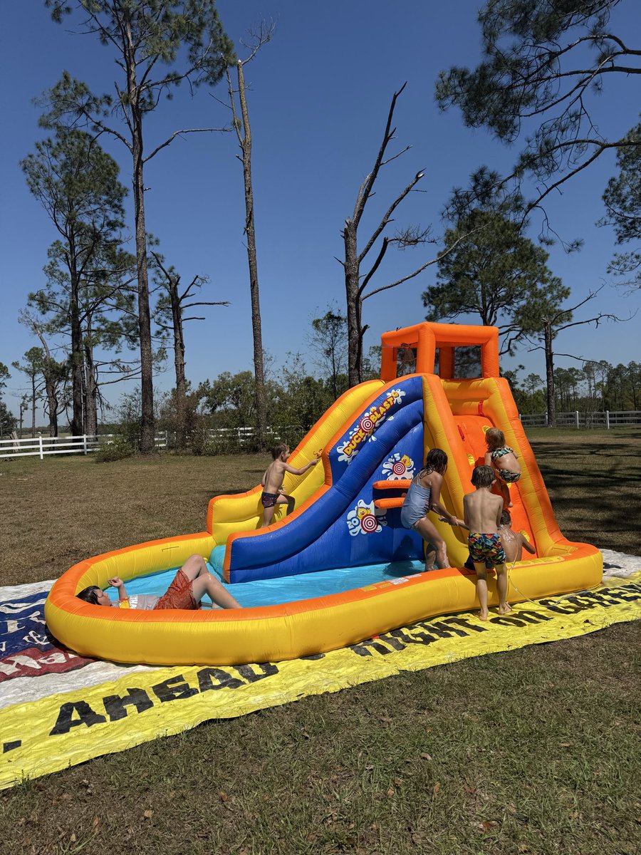 Amy 🌱✨🌸 tweet media