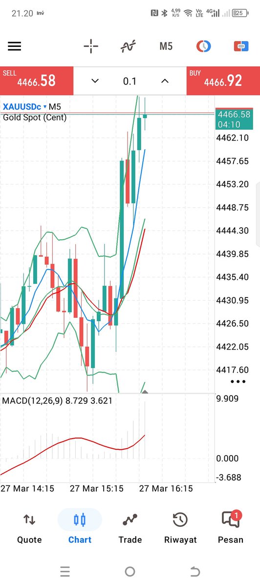 Dani Coffee tweet media