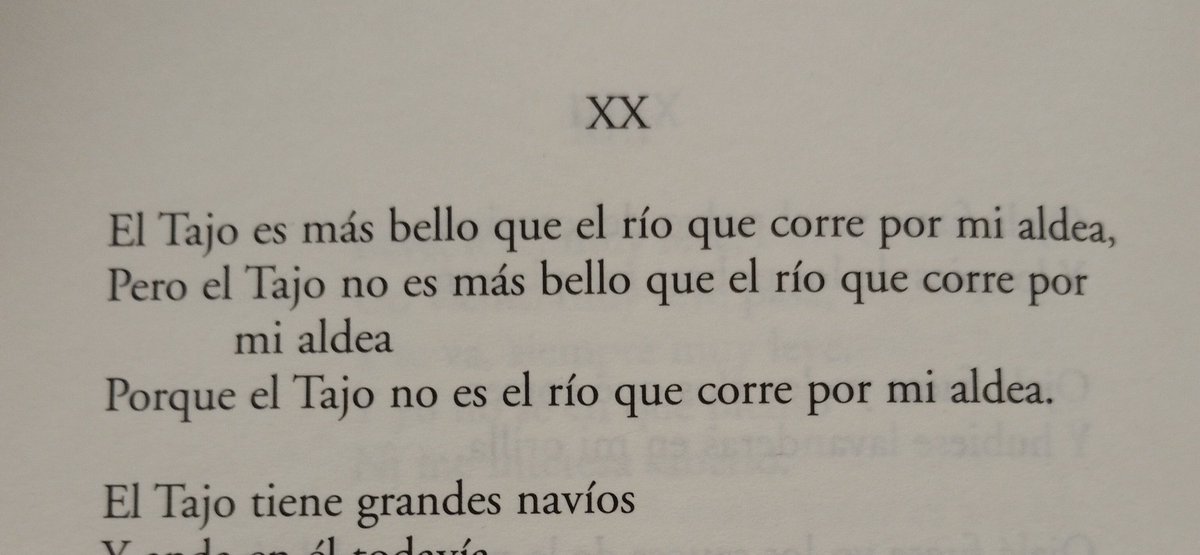 echinops tweet media