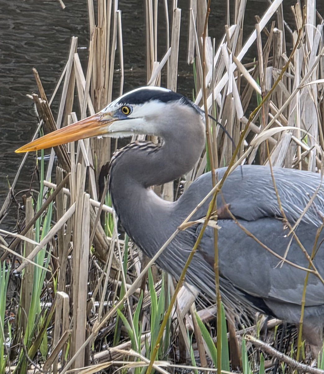 Lady Di 🇨🇦🇺🇦💙💛 tweet media