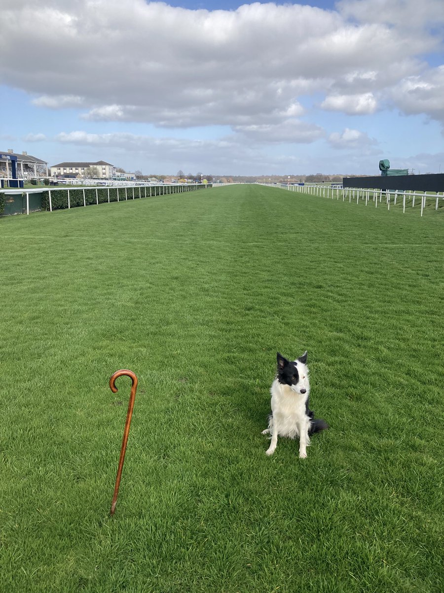 Doncaster Clerk tweet media