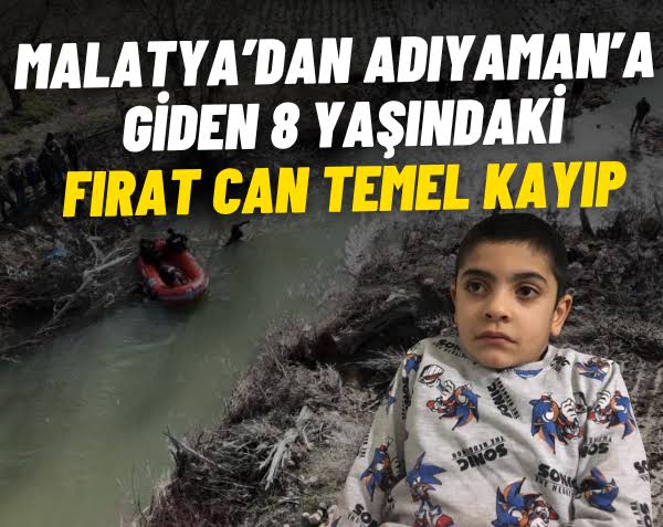 Özge 🐞 tweet media