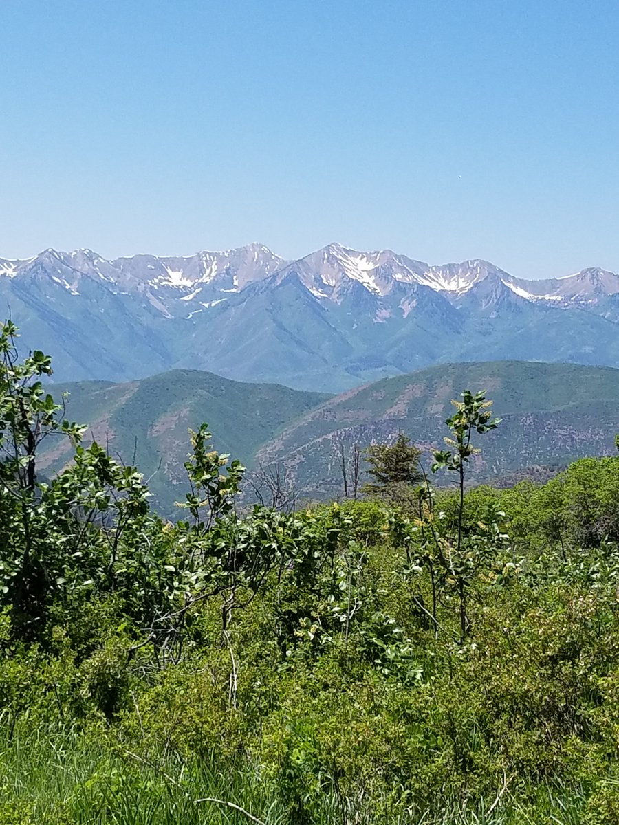 Stephen C. Schultz tweet media