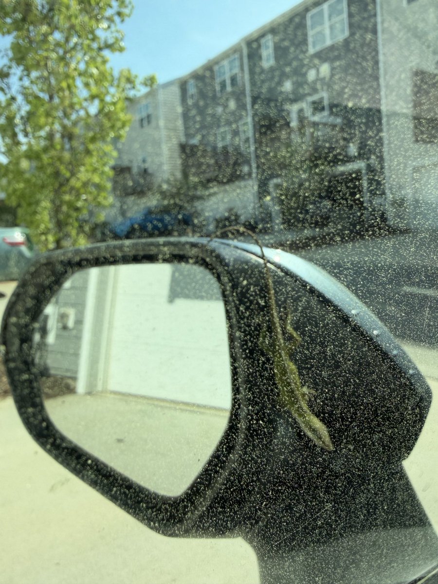 ぽめちゃん🇺🇸3Y🦖1Y🦖 tweet media