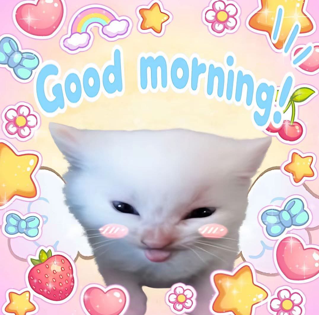 ★ ; 🍎pao🍏 . ♱ @ RE9 tweet media