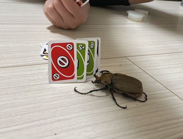 shadoomf🪲🇵🇸(homunculus enjoyer) tweet media