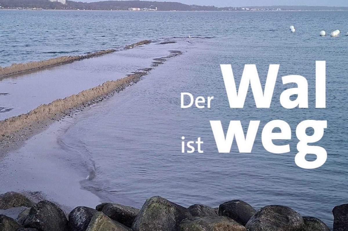 Pit (aller guten Dinge sind 3) tweet media