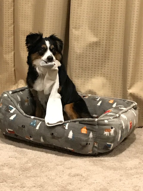 John Gauntner tweet media