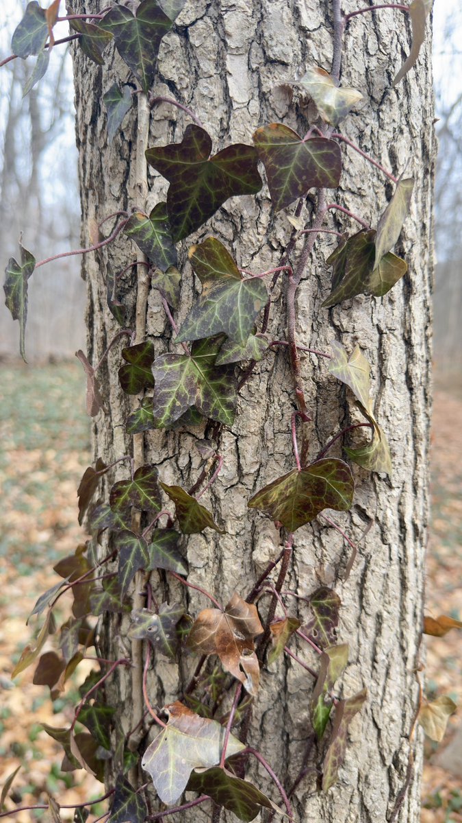 Electric Man 电人 tweet media