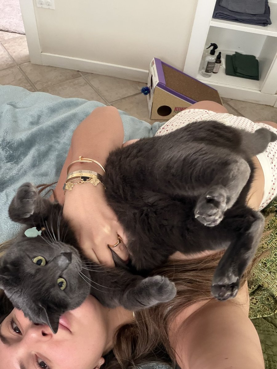 SylviaPlath tweet media