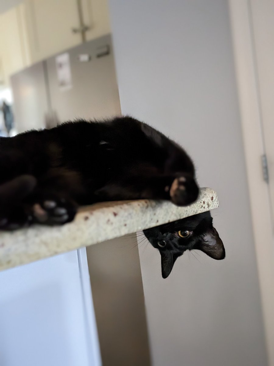 Trevor Bryant tweet media