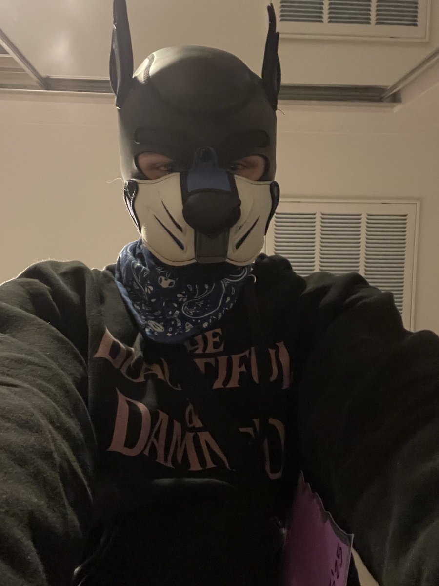 🦈Pup Cloudy☁️🔜TFF tweet media