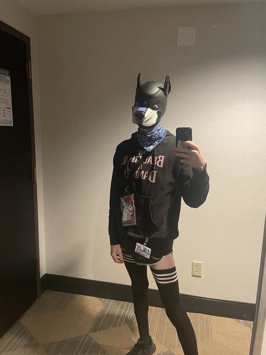 🦈Pup Cloudy☁️🔜TFF tweet media