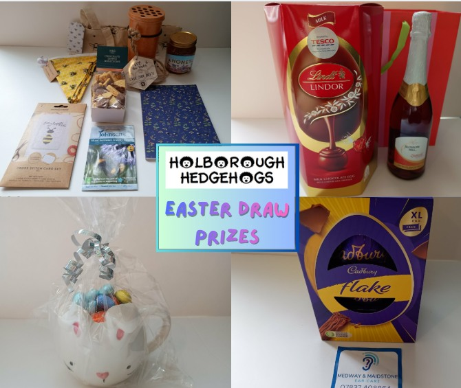 Holborough Hedgehogs tweet media