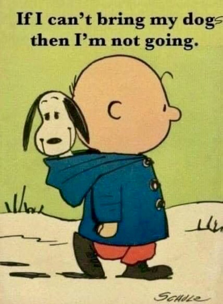 One Good Man tweet media