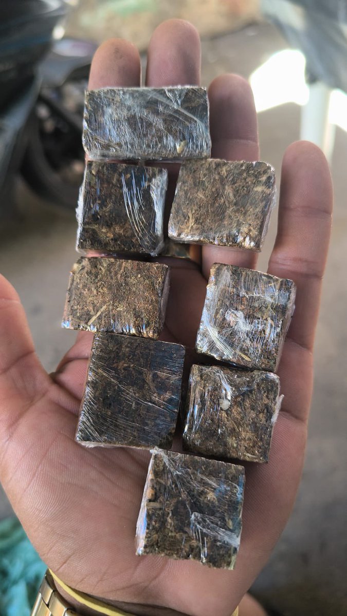 🍁 𝑪𝑨𝑵𝑵𝑨𝑩𝑰𝑺 𝑫𝑶 𝑹𝑰𝑶 🍁 tweet media