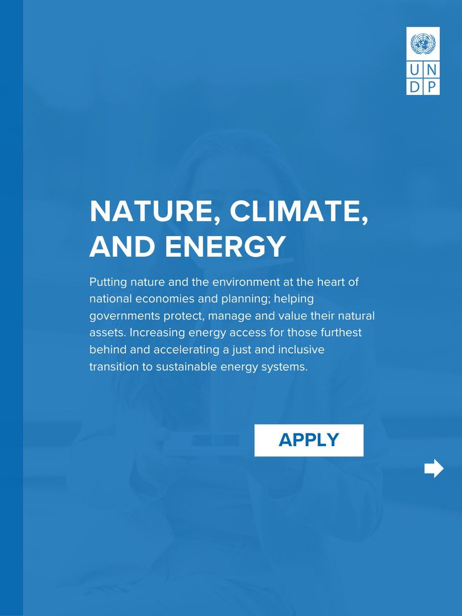 UNDP Careers tweet media