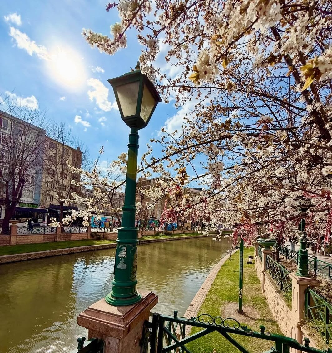 𝐊𝐞𝐯𝐬𝐞𝐫 tweet media