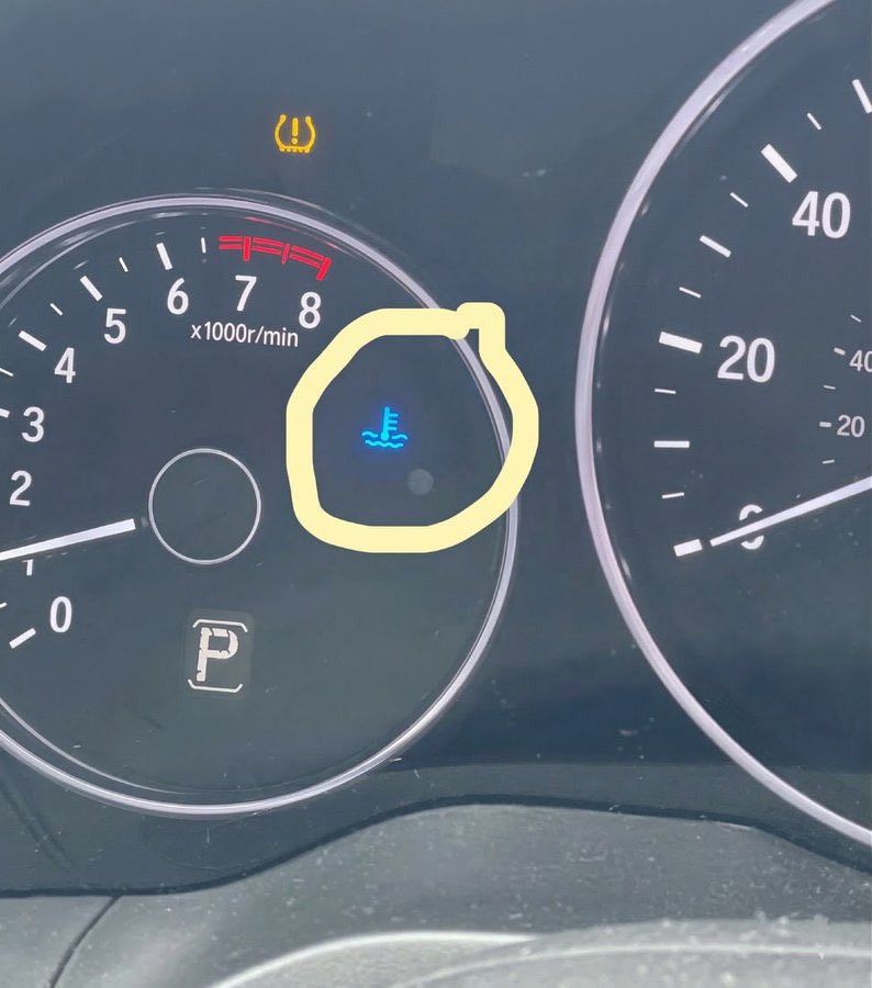 Holistic Fitness tweet media