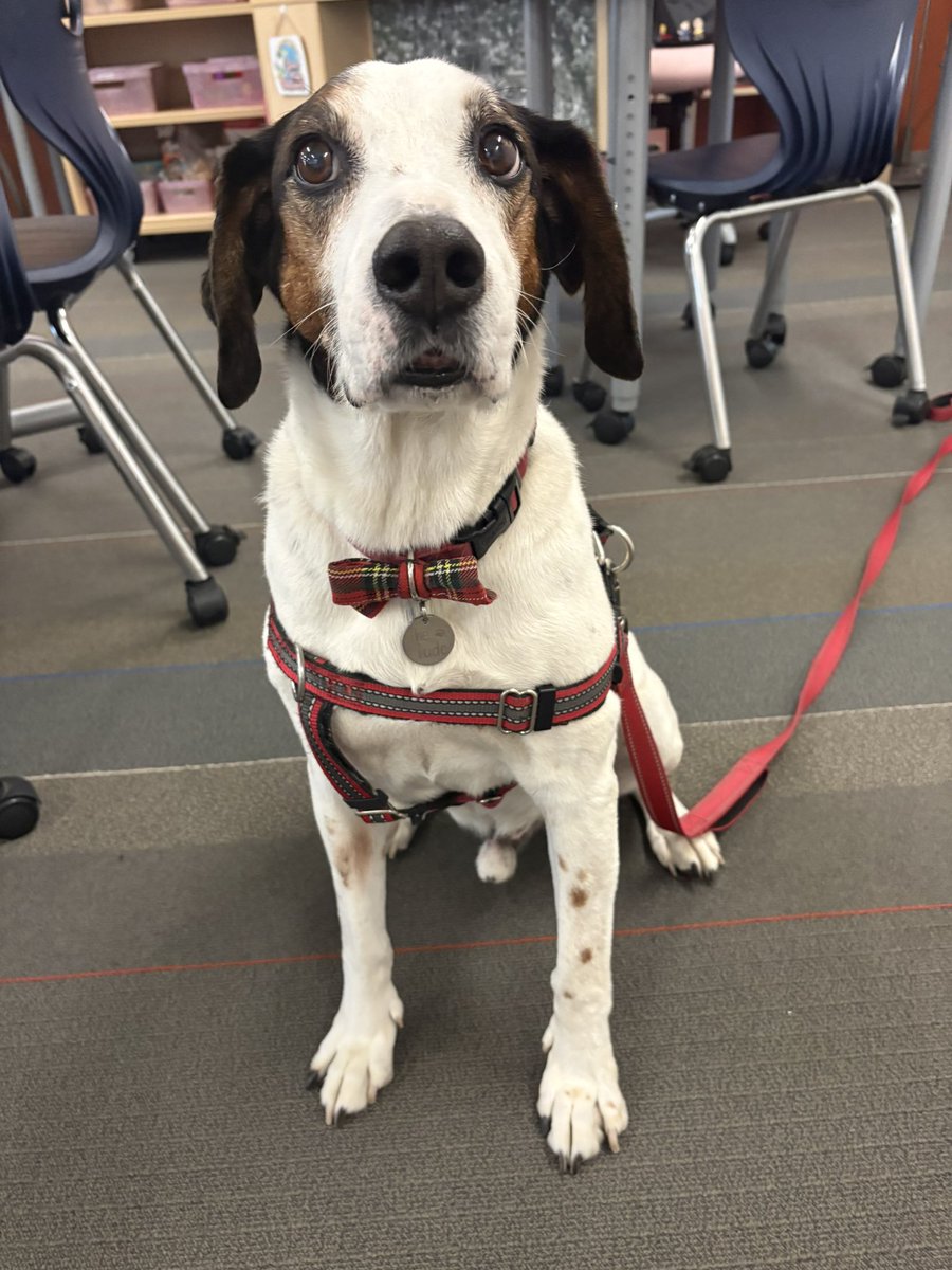 The Dude “Duggins” WooWoo Floppys tweet media