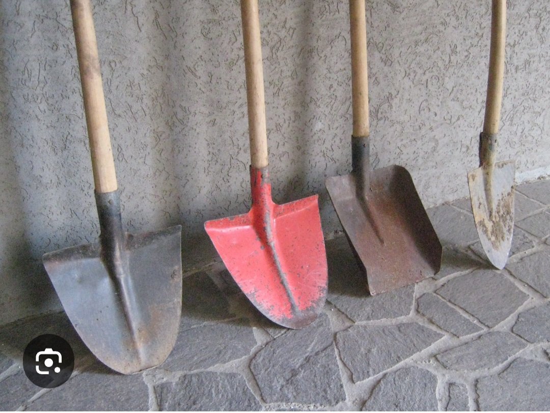 Encora67 tweet media