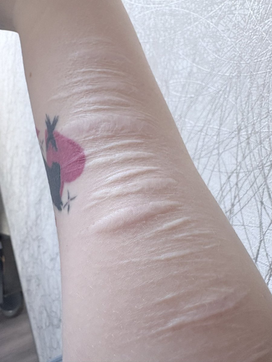 Caiterz🪼 tweet media