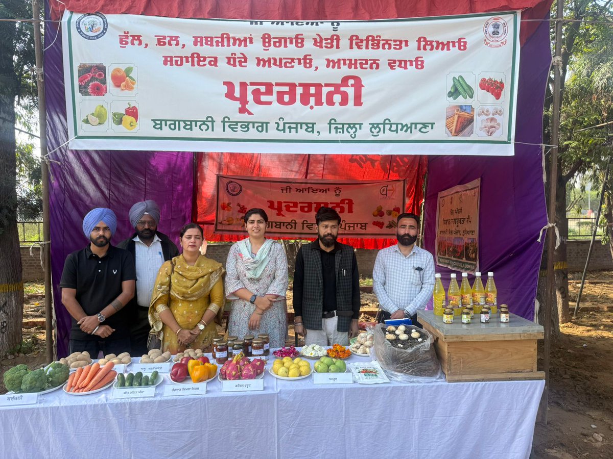 ambish24's tweet photo. Department of Horticulture Ludhiana, @PunjabGovtIndia at Kisan Mela @PAU_LDH 20-21 March 2026 https://t.co/pt29YcyMrY