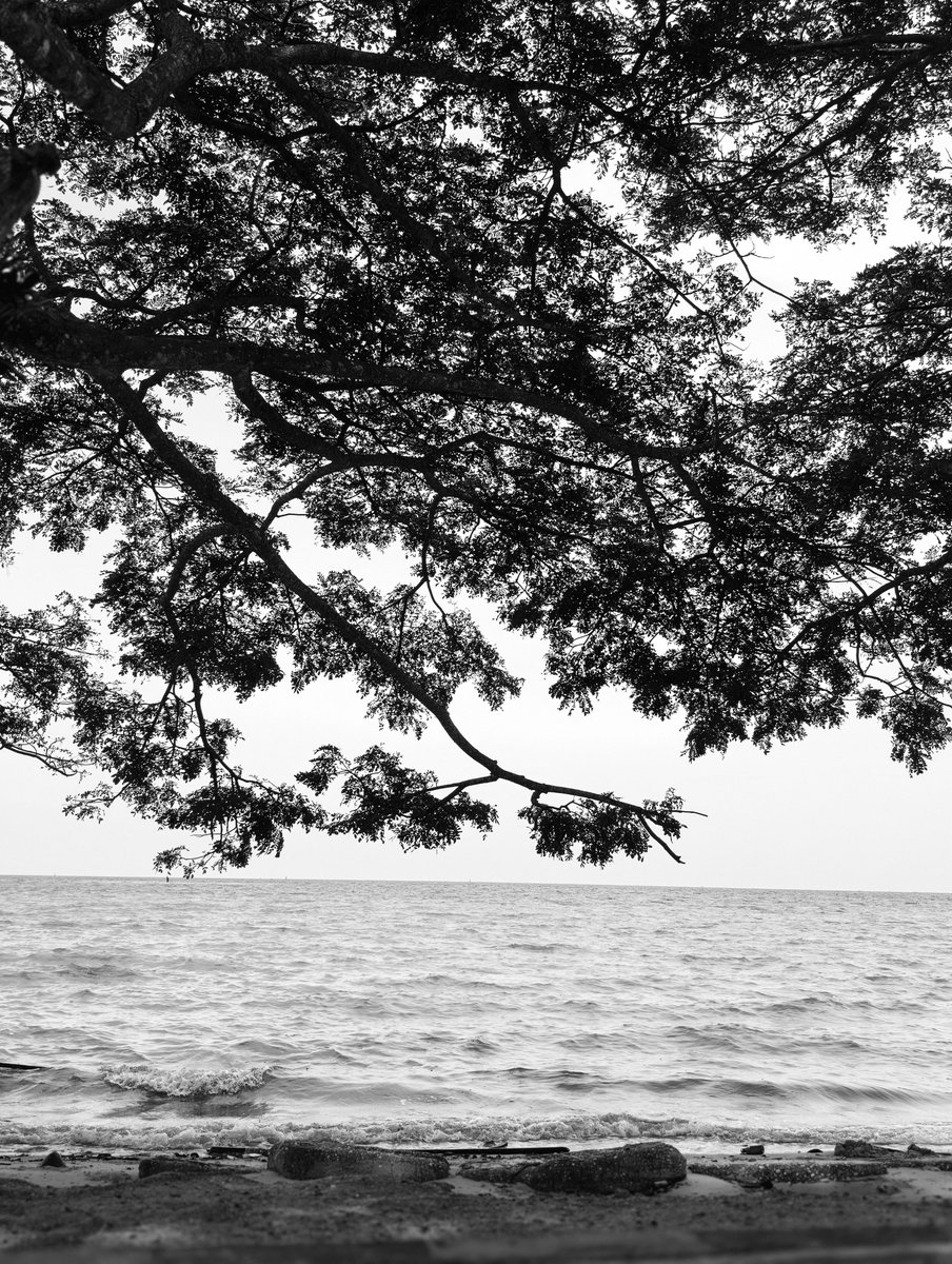 (Bi)ji Salak tweet media