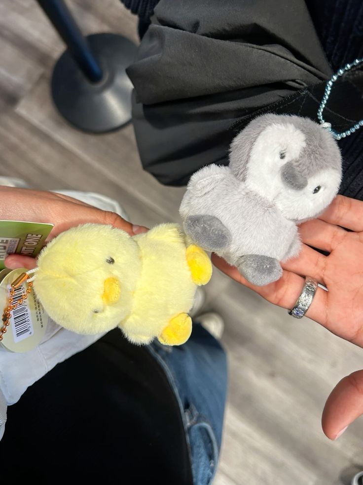 dika anak papi selamanya tweet media