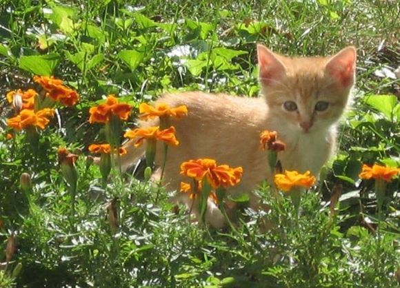 𝒍𝒖𝒏𝒂 tweet media