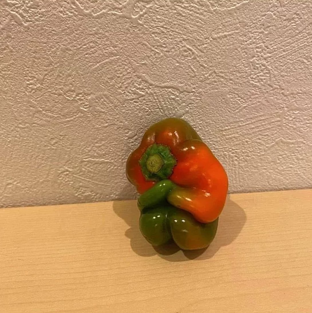 TALYA'LI tweet media