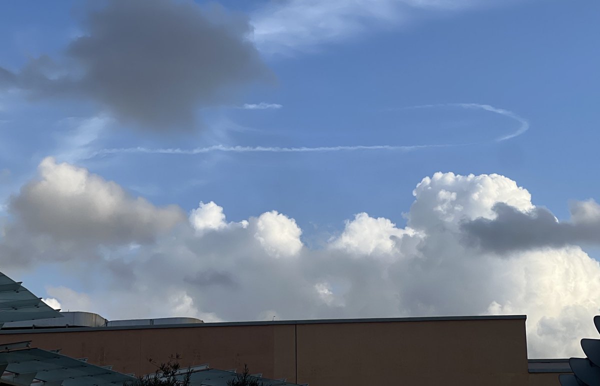 Daniel Carde | دانيال كارد tweet media