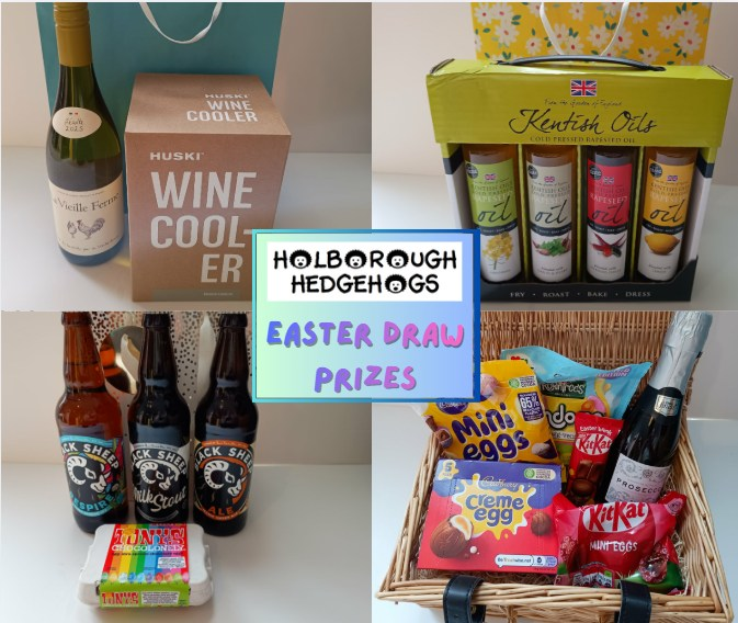 Holborough Hedgehogs tweet media