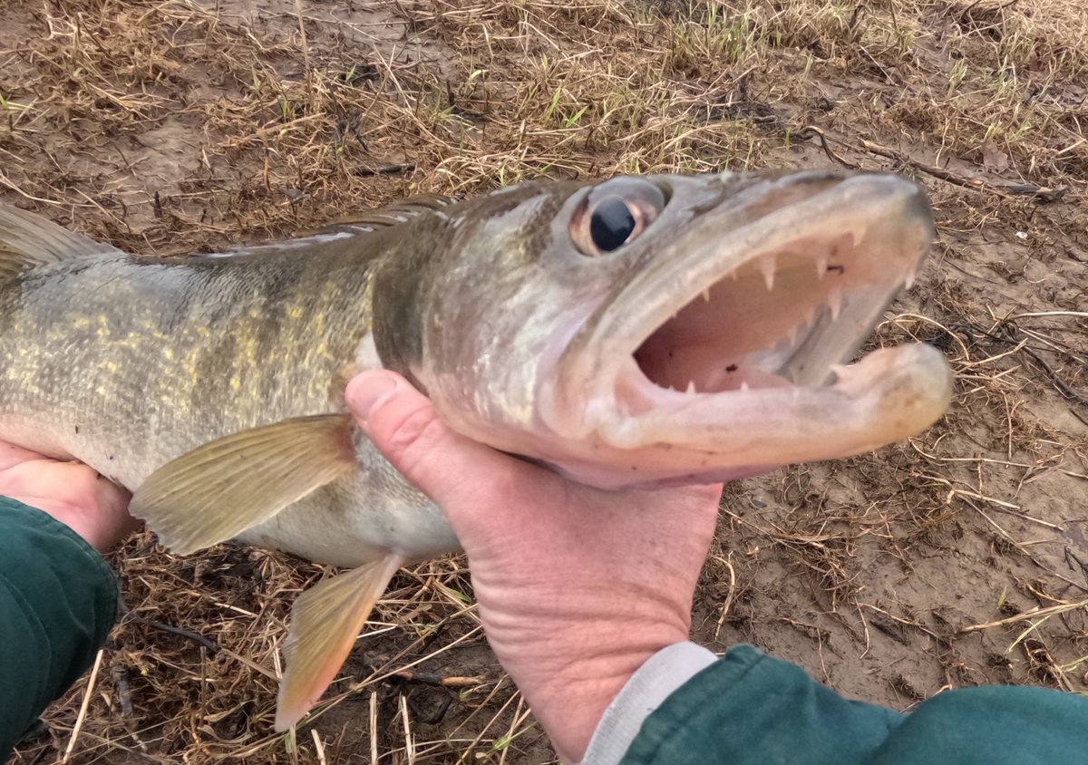 Andy Whitcomb tweet media