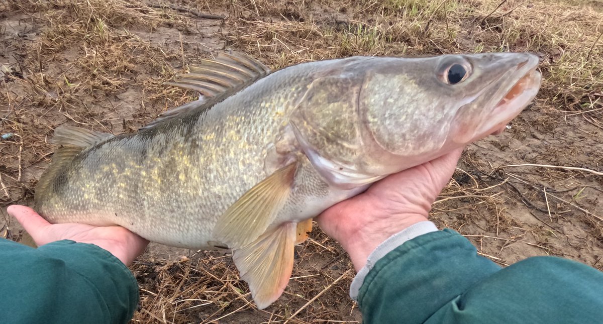 Andy Whitcomb tweet media