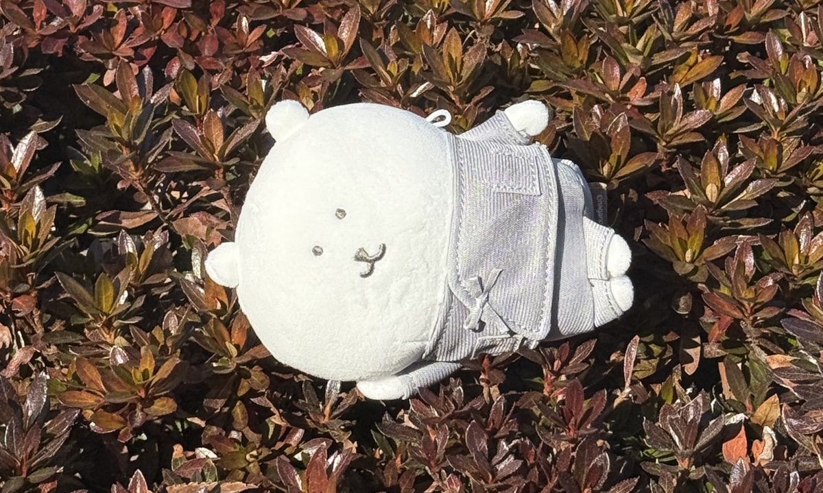 ᗢᘏ୭ tweet media