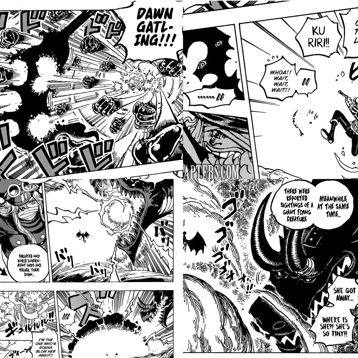 DLuffy☀️ tweet media