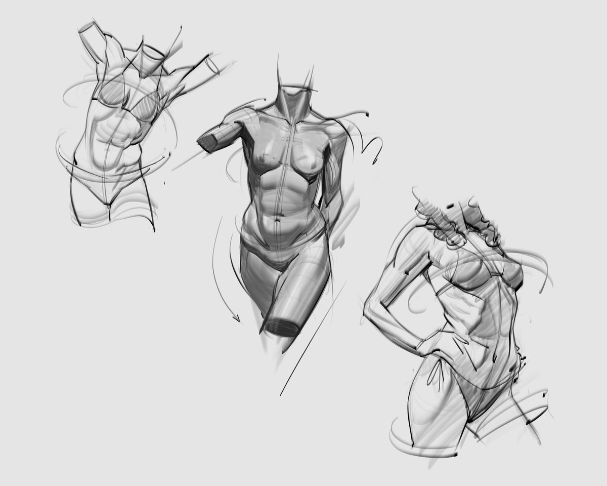 saqomolo's tweet image. Female torso sketches! #femaletorso #anatomy #humananatomy #drawing #lineart #goals #shading #figuredrawing #gesturedrawing #art #abs #shoulders #pelvis #ribcage #doodles #sketches