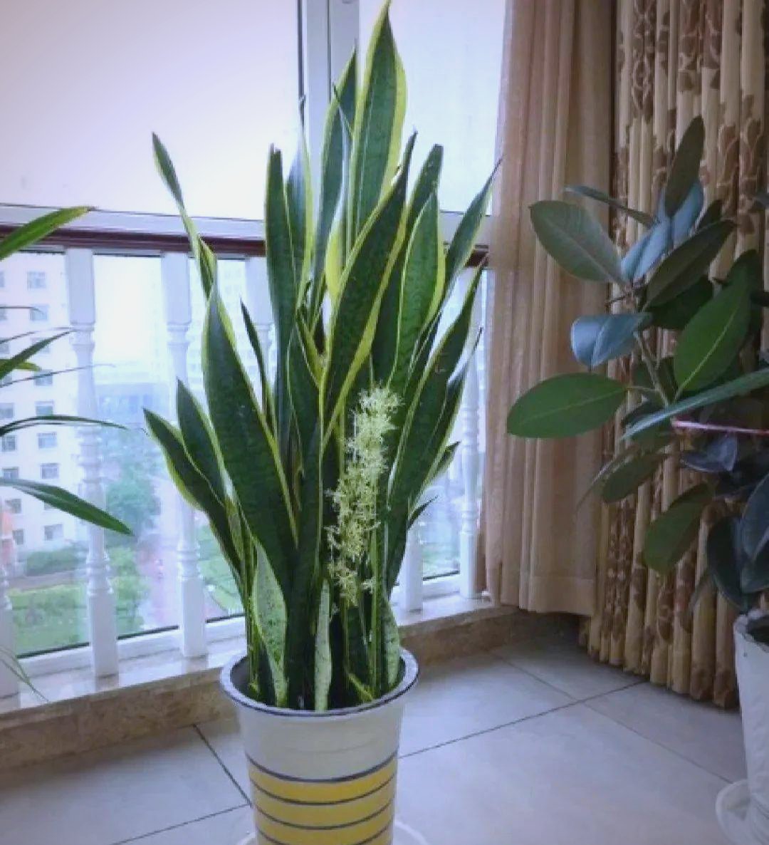 Mim's-Forever tweet media