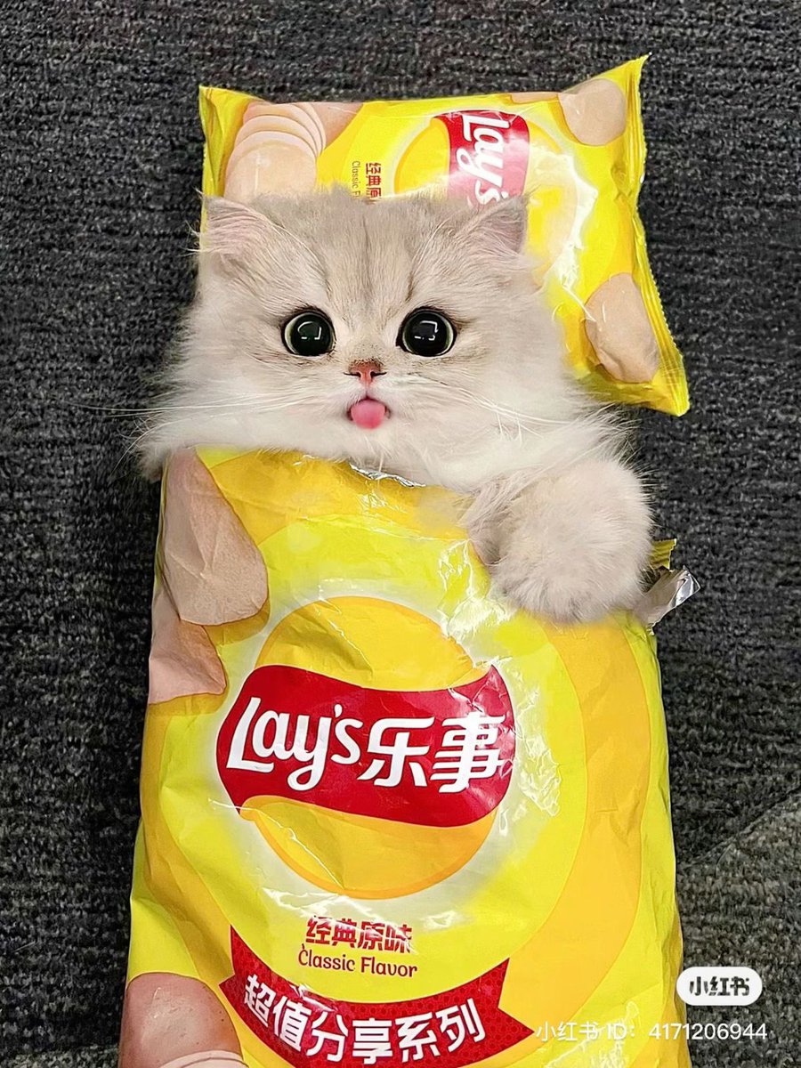 🍼uwu y쭌 우유🐾🏀 tweet media