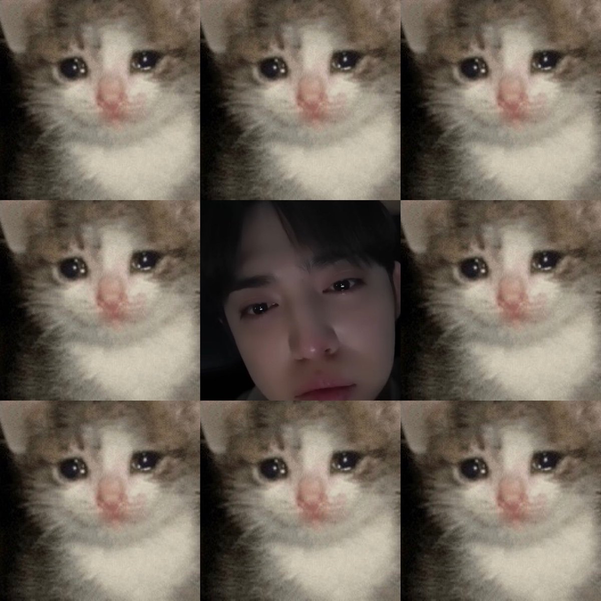 로체 🎶 𝙃𝙔𝙋𝙀 𝙑𝙄𝘽𝙀𝙎 tweet media