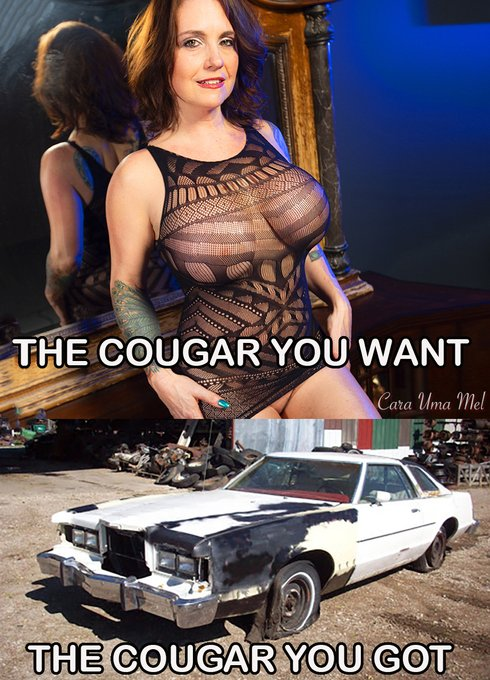 lisahsmithlhs tweet media