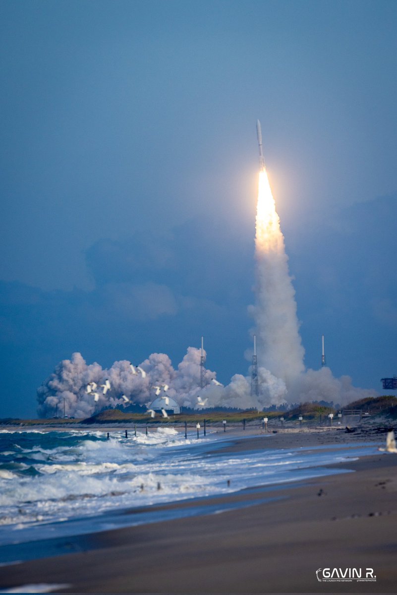 Gavin Richmond tweet media