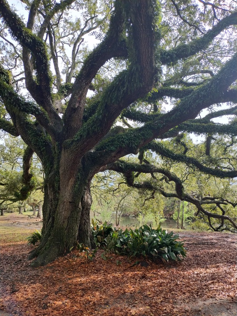 Traits of being "Solid Inside"

1) peaceful
2) grounded
3) compassionate