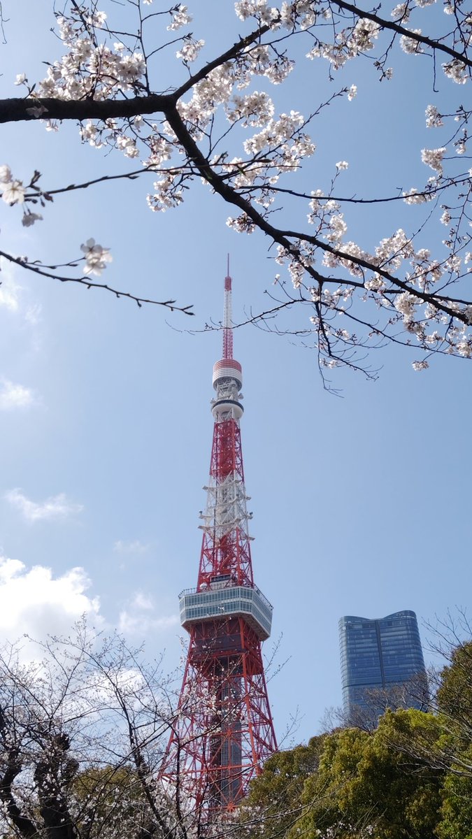 ふじちょ tweet media